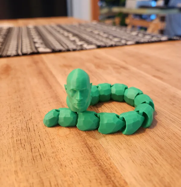 https://makerworld.bblmw.com/makerworld/model/USff4493cbcc3cb2/design/2024-12-26_efed84822873c.jpg