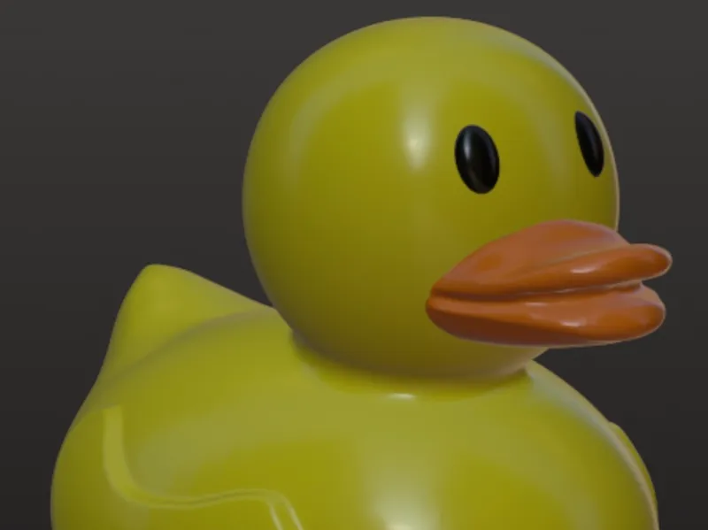 duck