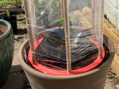 Transitional Greenhouse for the Poor