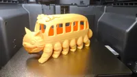 Gatobus portalapiceros