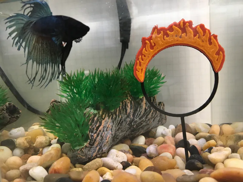 Flaming Stunt Hoop for Fish Tank