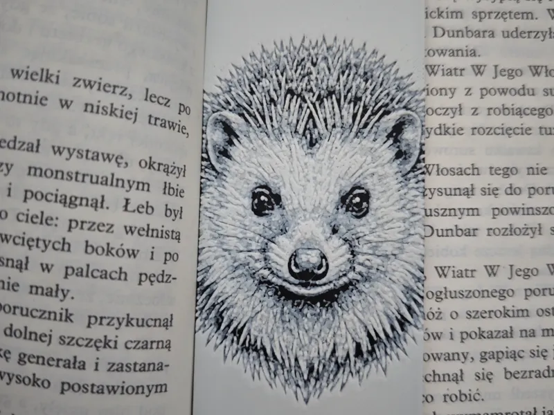 Jeż