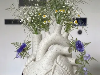 Vaso a cuore anatomico