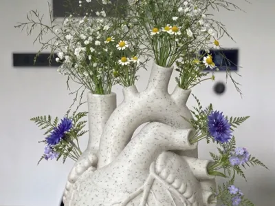 Anatomical Heart Vase