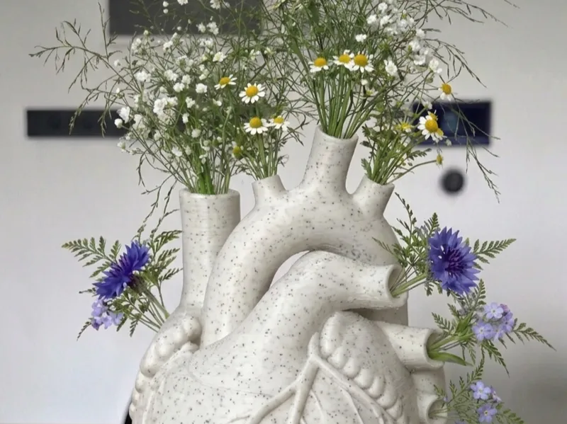 Vaso a cuore anatomico