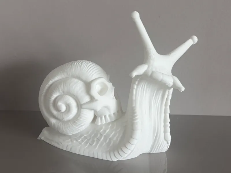 Halloween Skull snail