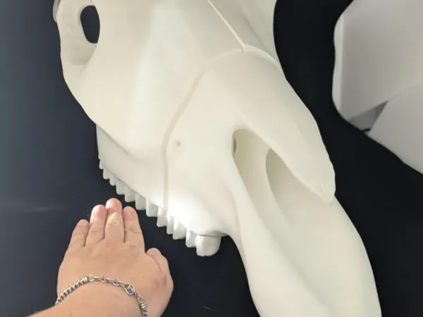 https://makerworld.bblmw.com/makerworld/model/USff58ebdf187220/design/2024-07-19_33ffd4aa1a57b.jpg