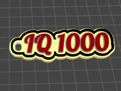 key chain / IQ 1000