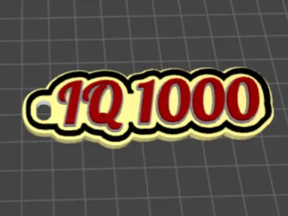 key chain / IQ 1000