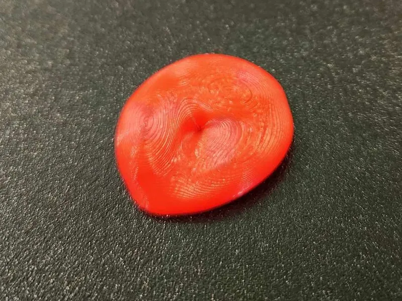 Stoma Model (Education)