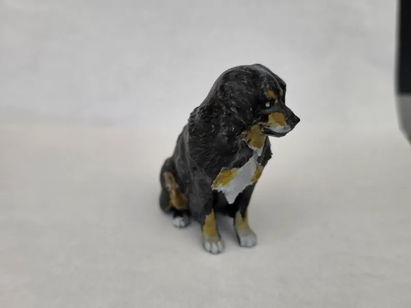 Australian Shepherd – realistisches Modell