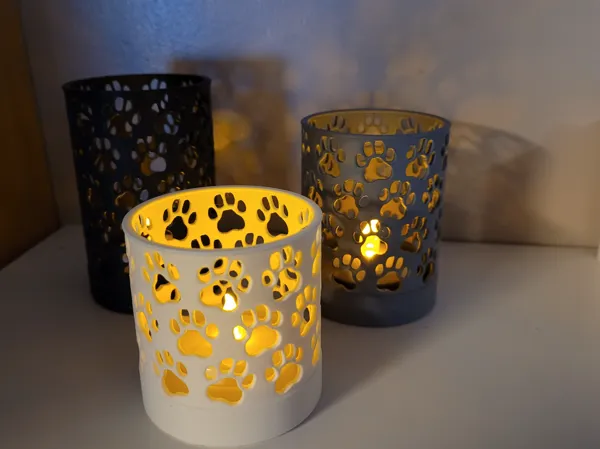 https://makerworld.bblmw.com/makerworld/model/USff65d74b174611/design/2025-12-28_b692a93a74c598.jpg