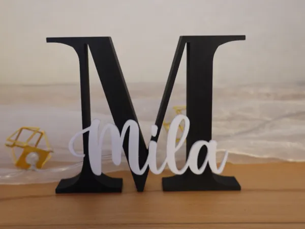 https://makerworld.bblmw.com/makerworld/model/USff68a9951ebf58/design/fa5babb2faf39d0b.jpg