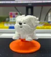 Spring-Loaded Wobbly Doodle Dog