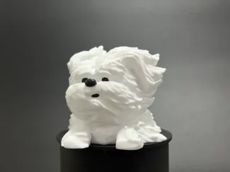 潦草小狗风中凌乱