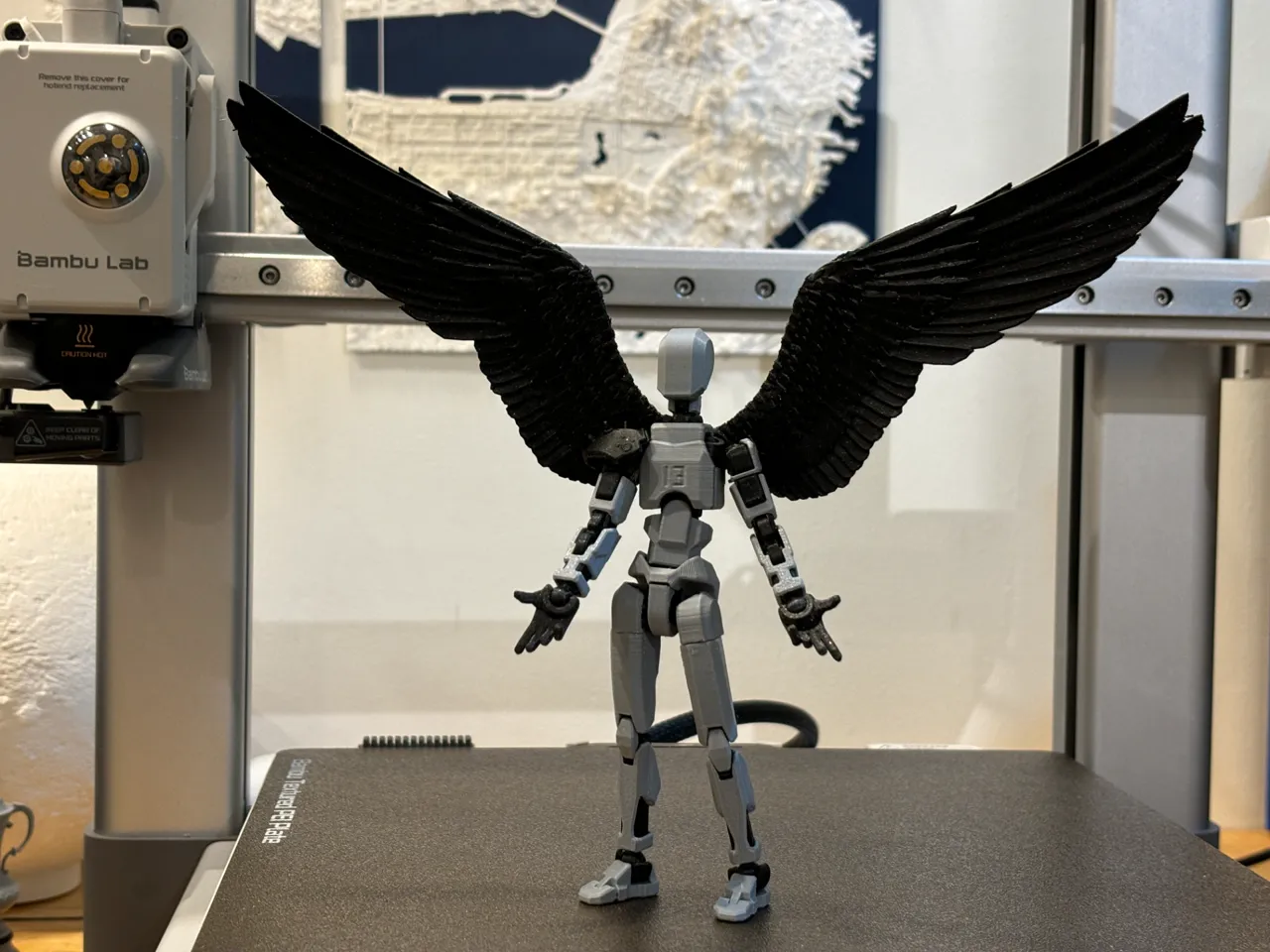 Dummy 13 Wings view 2