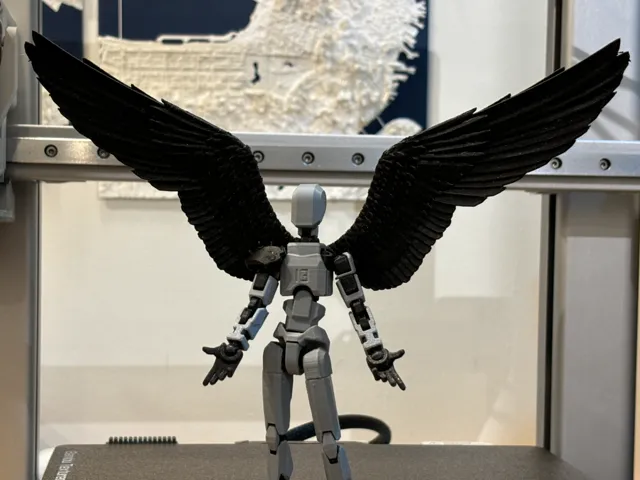 Dummy 13 Wings