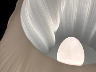 The Helical Petal Lamp