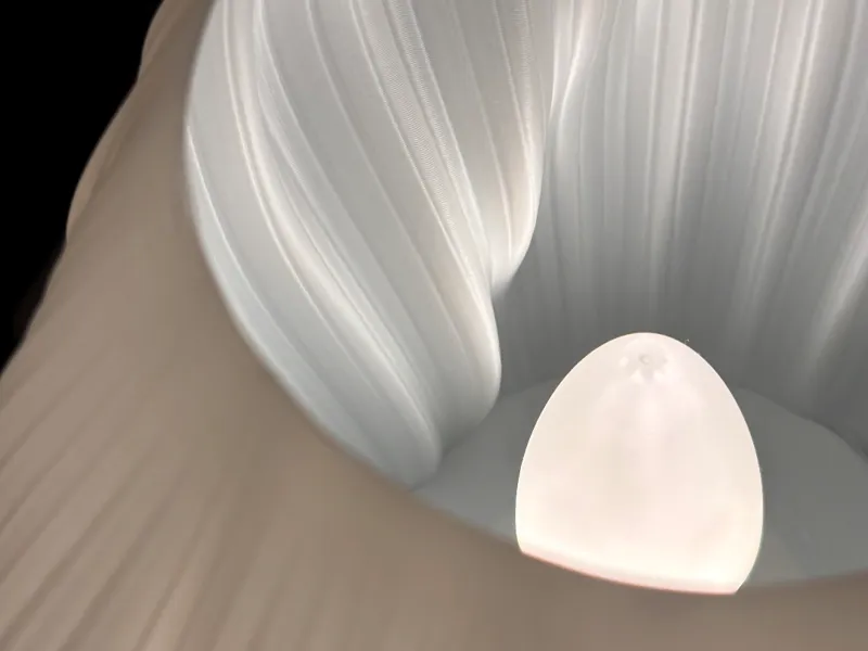 The Helical Petal Lamp