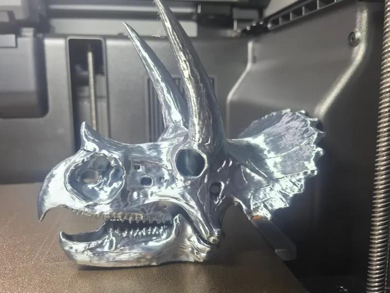 Triceratops skull for reptile enclosure / ornament