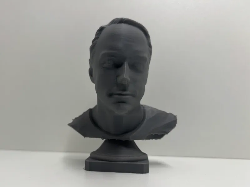 Dave Matthews Bust
