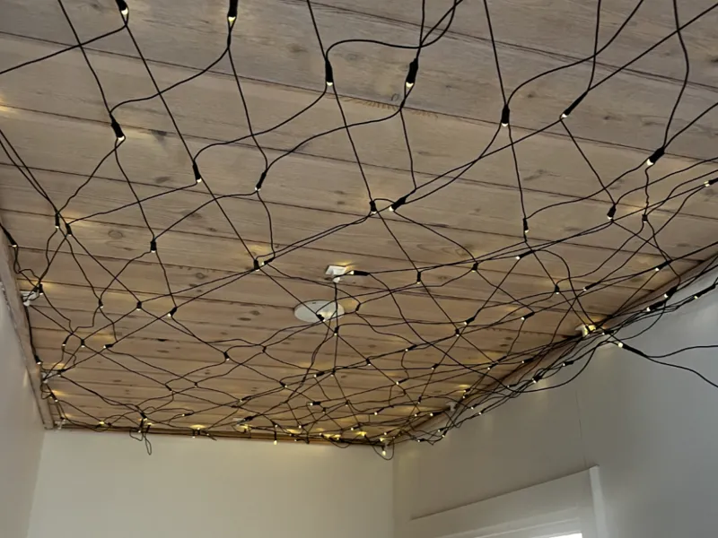 Ceiling Hook