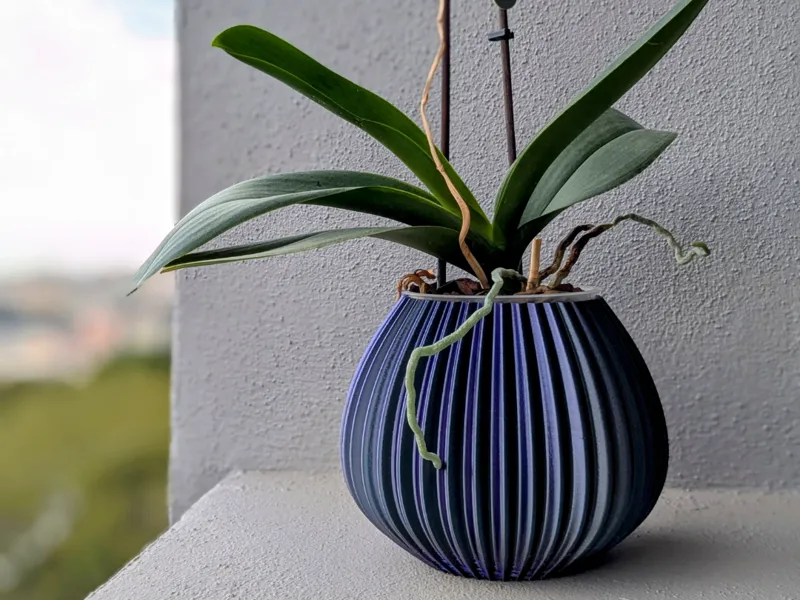 Vase_01