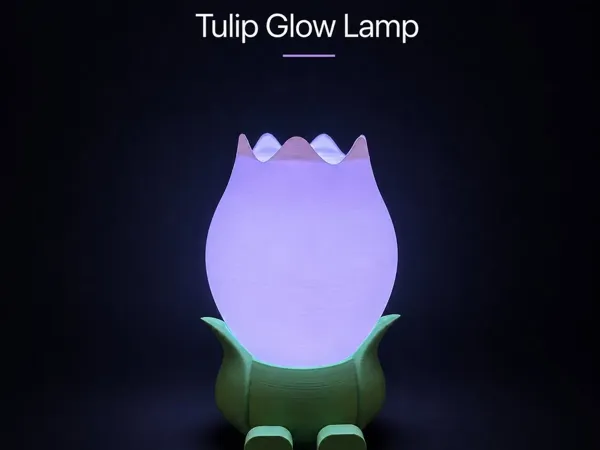 https://makerworld.bblmw.com/makerworld/model/USff8a168f6f35b4/design/83e92199759dcedf.webp