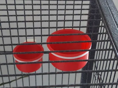 Quick-Release Bird Feeder & Water Bowl