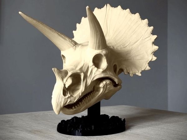 https://makerworld.bblmw.com/makerworld/model/USff8d7f4bff7f0d/design/5945c2dc9ab18f33.gif