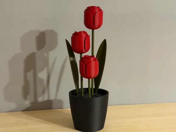 https://makerworld.bblmw.com/makerworld/model/USff92b37a6aecea/design/2025-11-22_2b48d345e5913.jpg