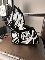 https://makerworld.bblmw.com/makerworld/model/USff940e858400ed/design/2024-01-24_32b0fba483fa9.png