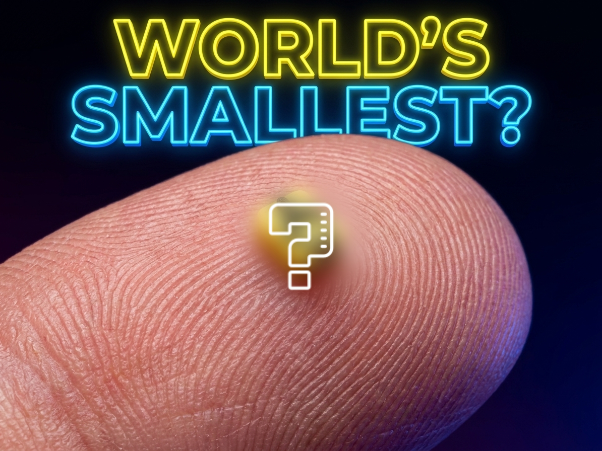 World's Smallest 3d Print (1.5mm Dual Color)