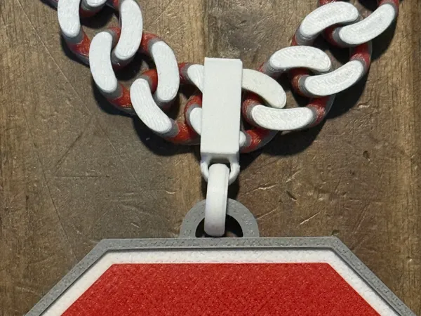https://makerworld.bblmw.com/makerworld/model/USff98e63942d764/design/bf2c7984b520615f.jpeg