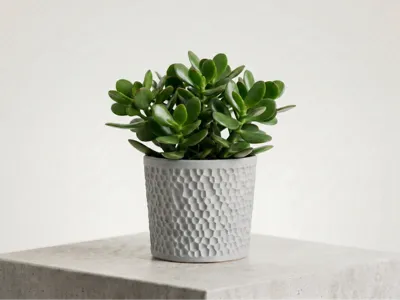 Voronoi Planter "Fovea" – Plant Pot