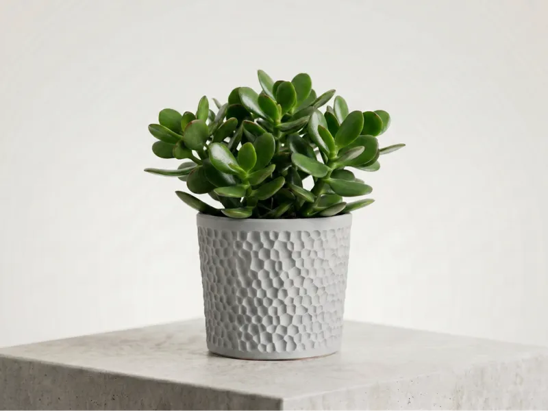Voronoi Planter "Fovea" – Plant Pot