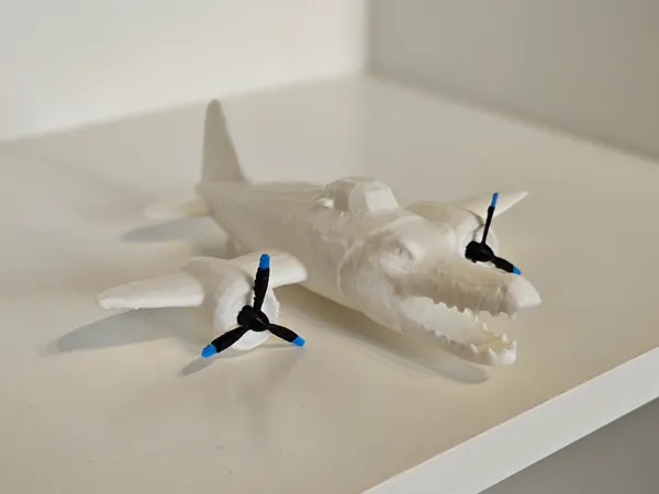 https://makerworld.bblmw.com/makerworld/model/USff9f1319fdcf66/design/2025-05-16_d70ab059cd3508.jpg