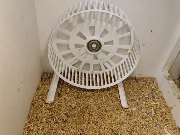 https://makerworld.bblmw.com/makerworld/model/USffa62c89b55a1b/design/2024-06-01_d242cd45dda3.jpg