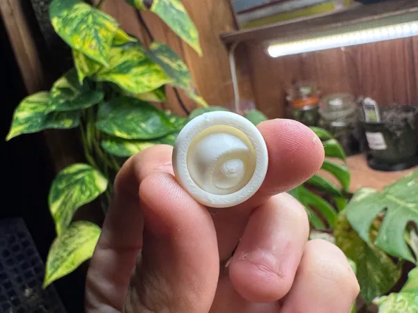 https://makerworld.bblmw.com/makerworld/model/USffa6630d6194c8/design/2025-08-08_bcbc8593d9c6.jpeg
