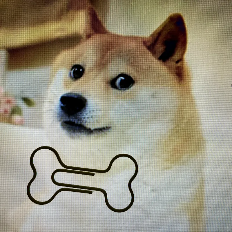 Paper clip bone shaped