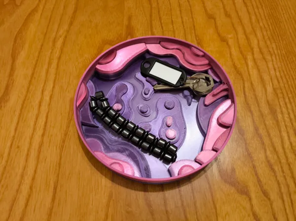 https://makerworld.bblmw.com/makerworld/model/USffbf47288e780e/design/2025-02-18_15144736078d.jpg