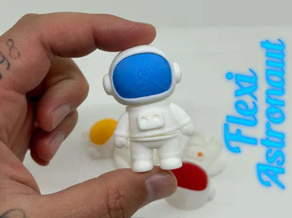 https://makerworld.bblmw.com/makerworld/model/USffc74ded7ce567/design/2025-12-15_b657e59dbe3138.jpg
