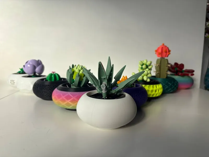 LEG O Succulent Planters