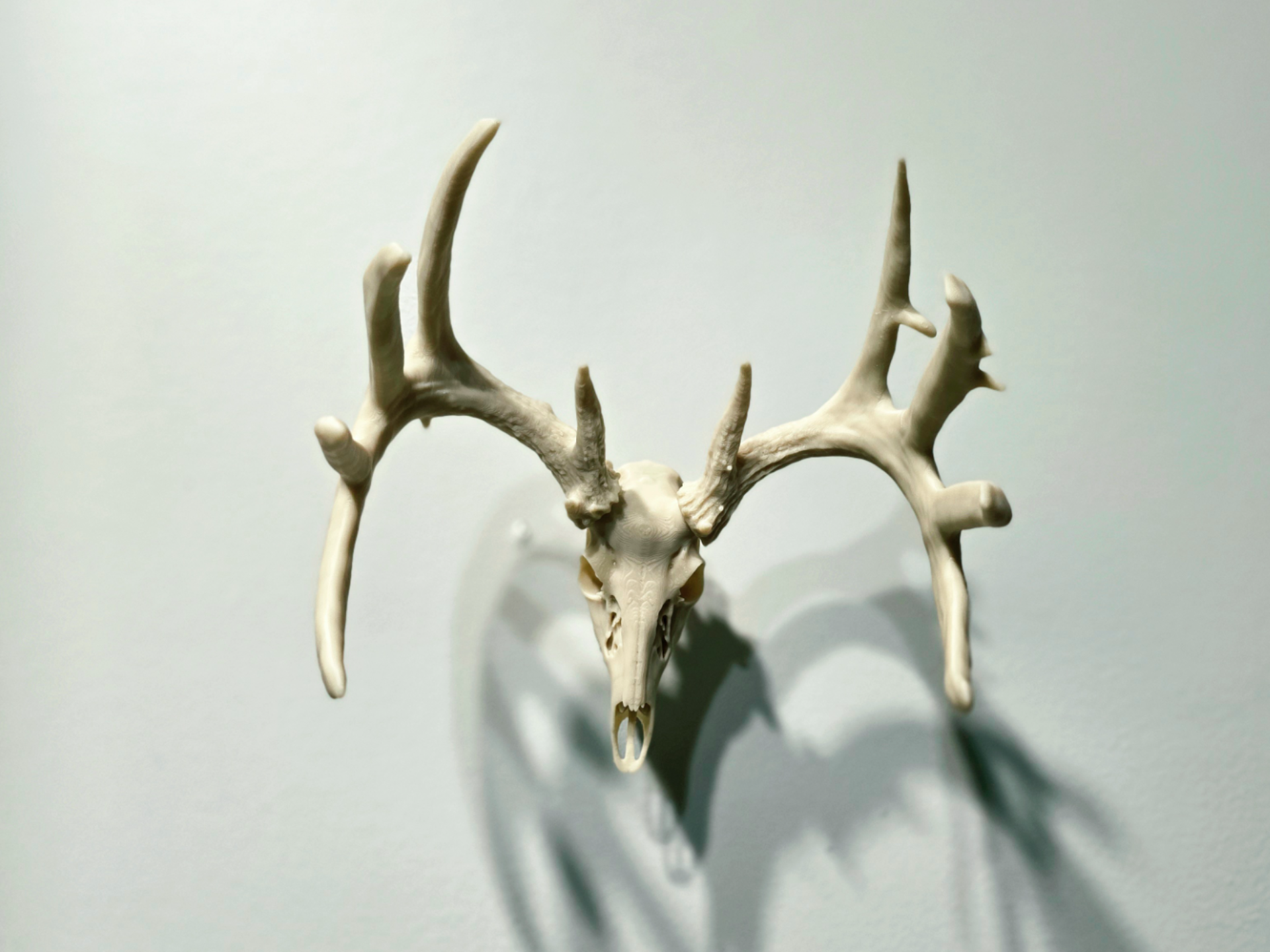 Legendary 1918 Breen Buck - Deer Euro Skull Mini