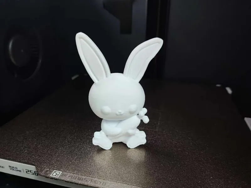 抱着萝卜的小白兔
