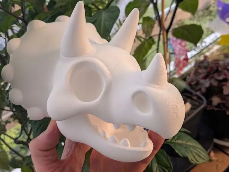 Triceratops Cartoon skull