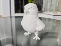 Angry Grumpy Pigeon
