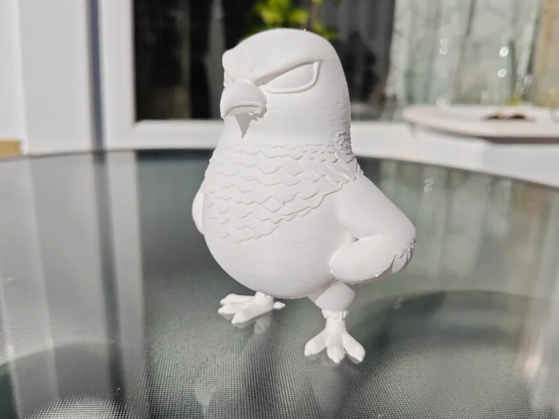 Grumpy Street Pigeon - The Bird with Attitude