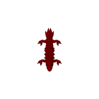 Lézard flexible articulé — photo 4