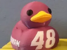 Alex Bowman Duck